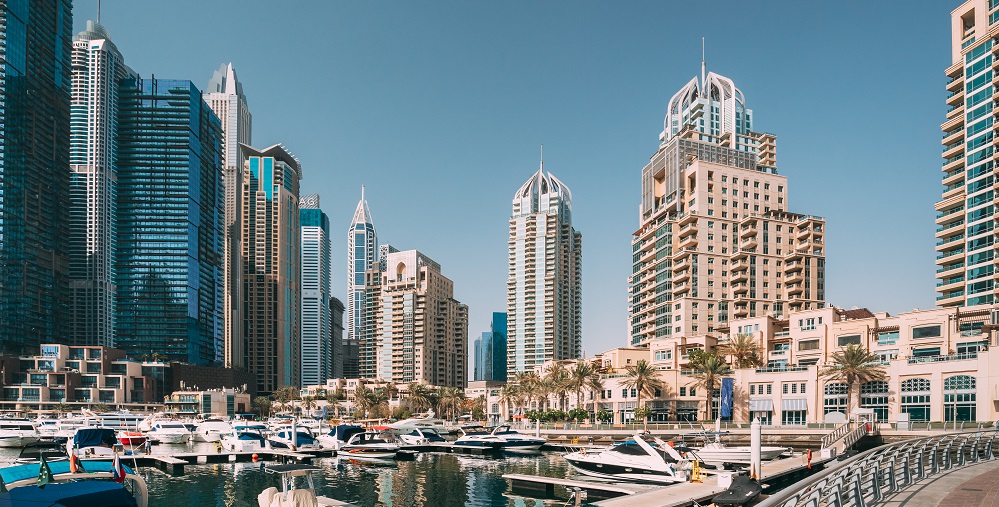 الاستثمار في البشر مفتاح تعزيز مستقبل الشرق الأوسط